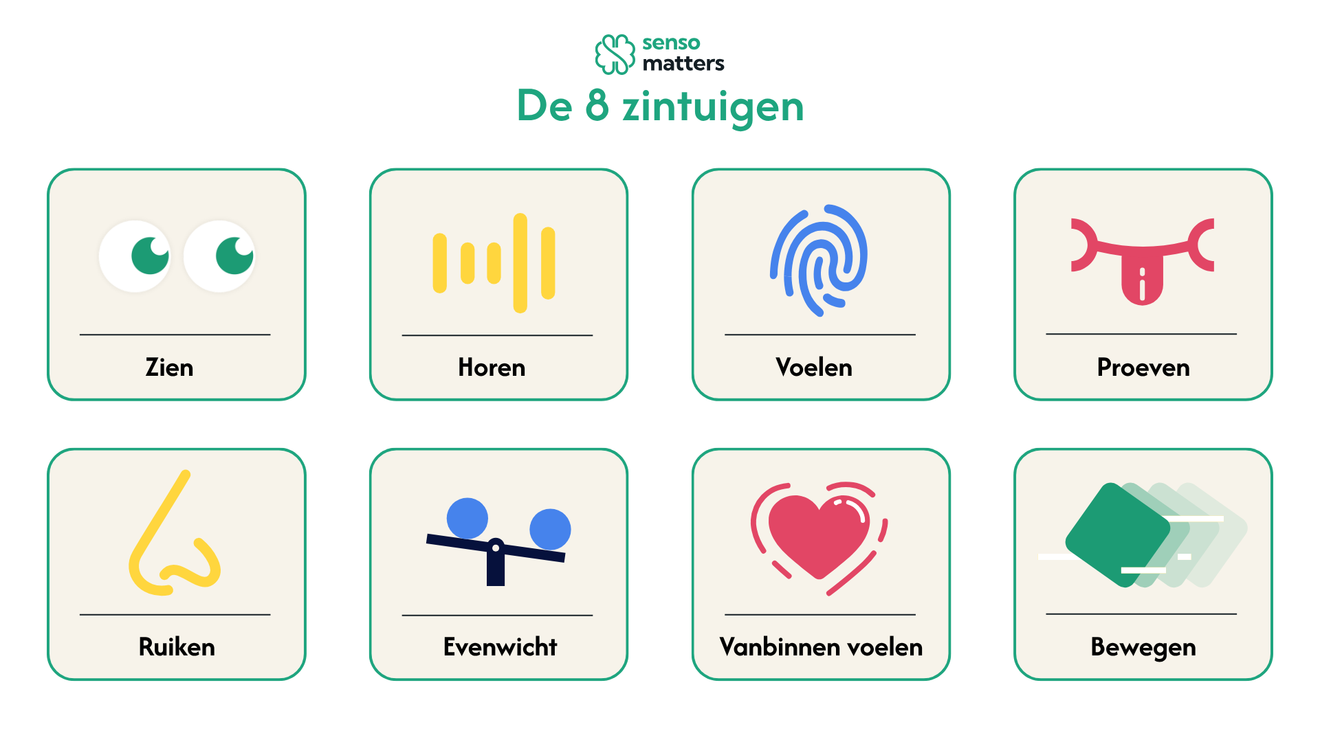 8 zintuigen